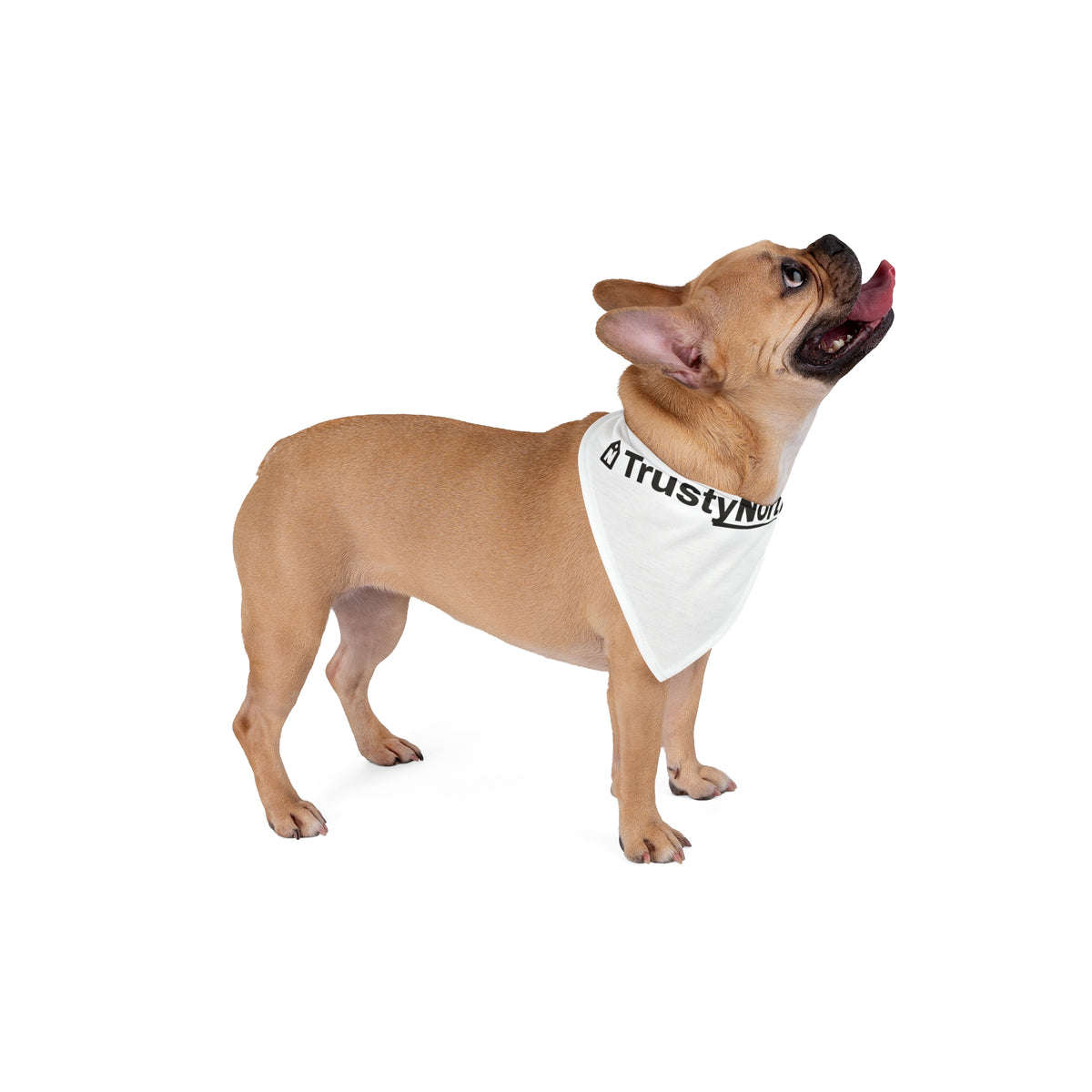 TrustyNorth Pet Bandana
