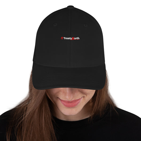 TrustyNorth black structured fitted cap with 3D puff embroidered logo, view 1 of 4
